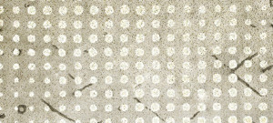 002562 Ковер Sami Brabbu