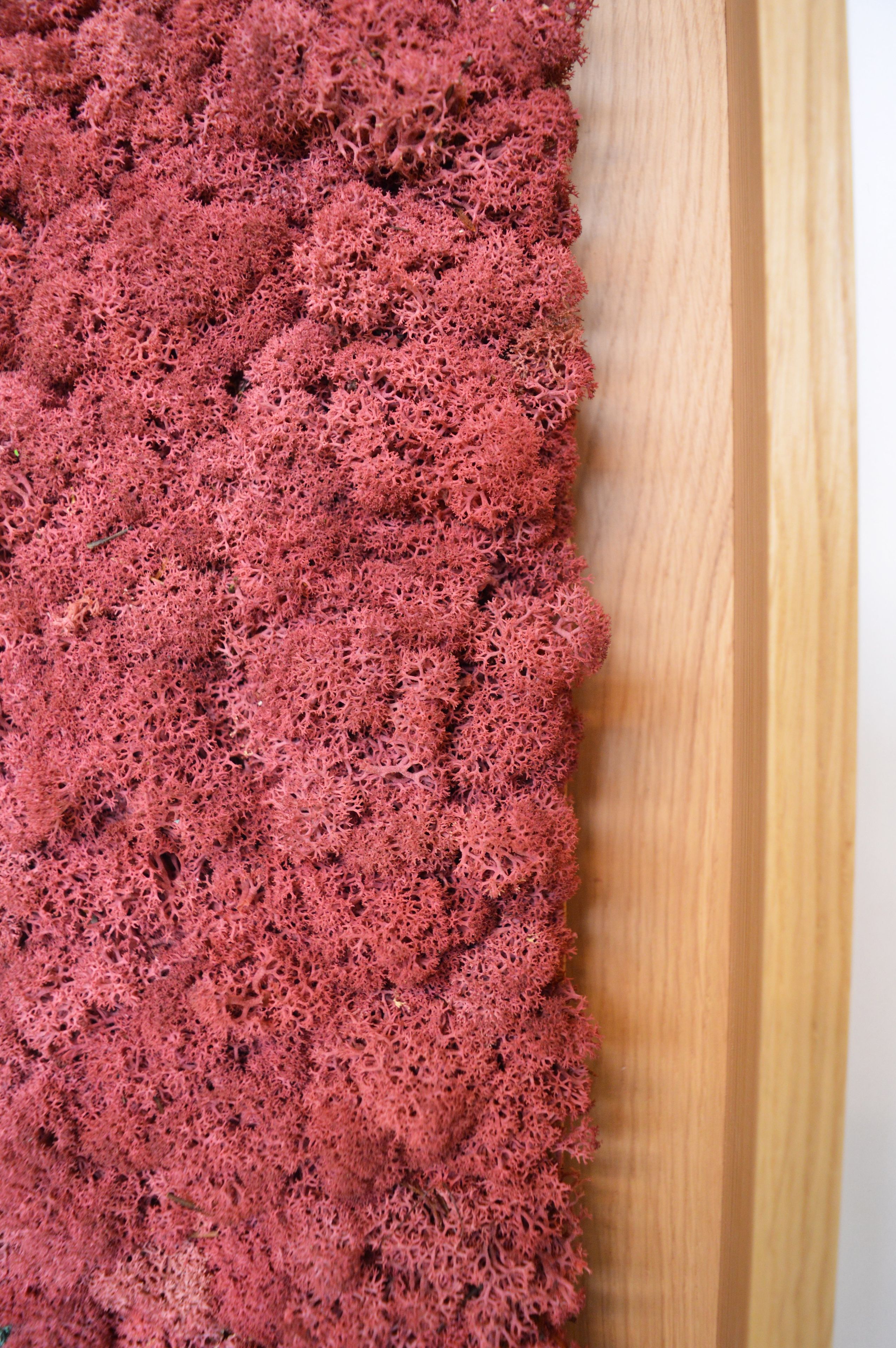 Акустическая панель из мха GREENMOOD FRAMED HARMONY ARCH-00128753 - Вид №18