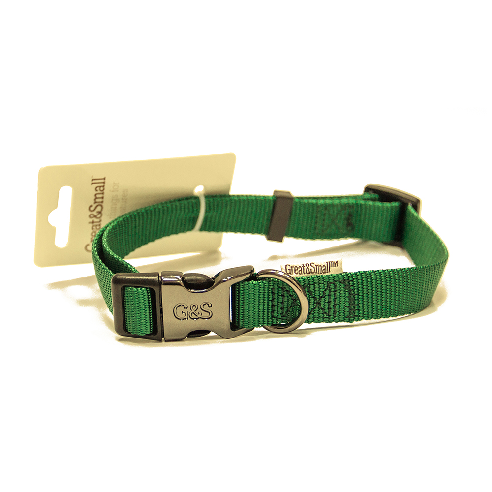 ПР0041958 Ошейник для собак 15x300-450мм нейлон Зелёный Great&Small 