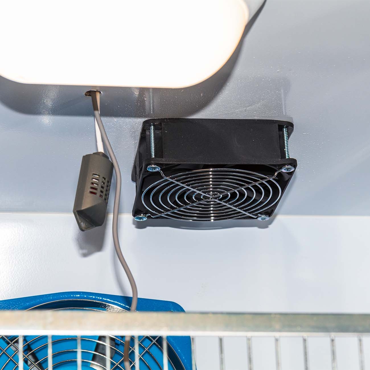 2054 Инкубатор профессиональный NBF-600 LAB.Space  - Вид №17