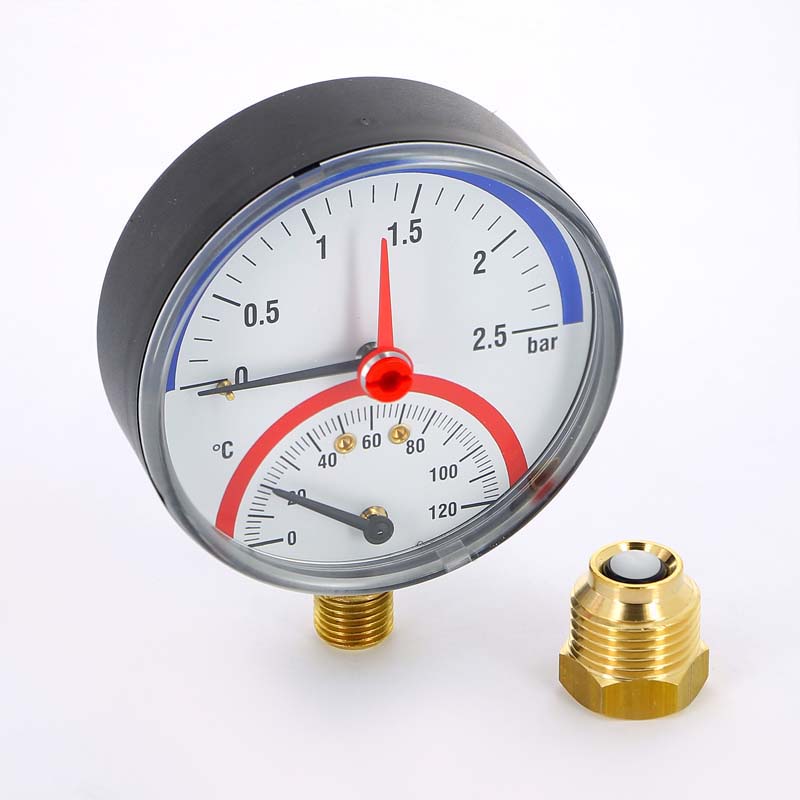 Термоманометр радиальный F+R828 WATTS Ind 2,5 бар 120 град.C 10009472