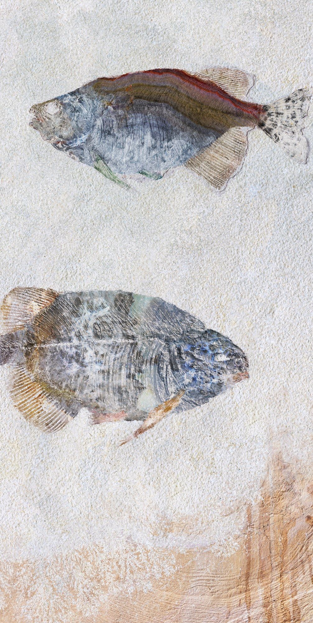 Декоративная панель из алюминия, стекла или ПММА Tecnografica окаменелости ARCH-00124451 - Вид №4