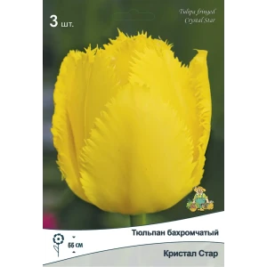 Тюльпан бахромчатый Кристал Стар от ПОИСК — элегантное украшение сада 89381368