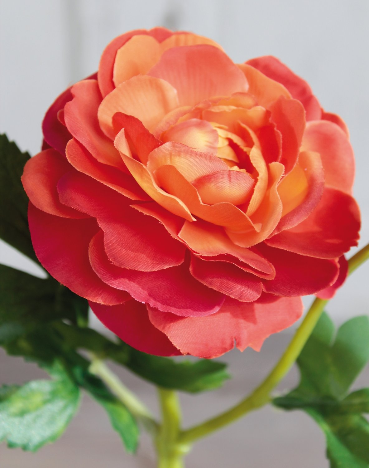 2450 334 a3 Лютик шелковый, 1 цветок, 1 бутон, 32 см, оранжевый H-andreas  - Вид №1