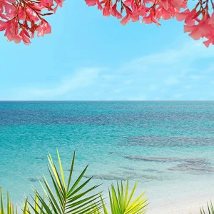 D1-002 Фотообои DIVINO Collection D 2.7х2 м