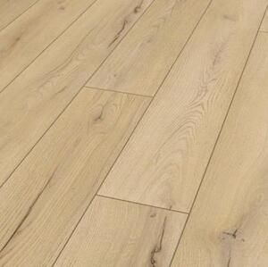 Ламинат Maestro Club Дуб Оптимум A 06