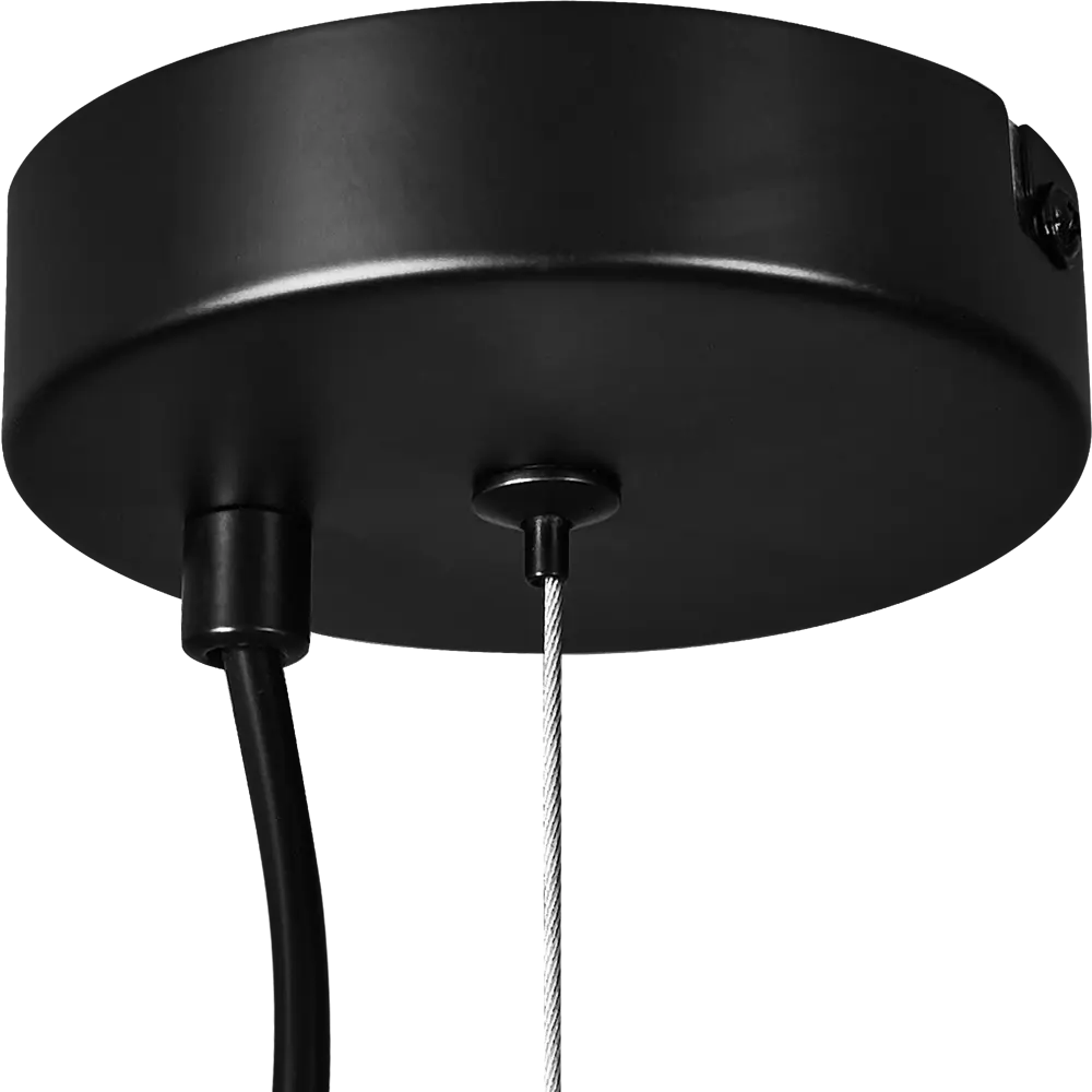 Люстра подвесная Evidence Freya 5-рожковая, черная 89389960 STLM-1563858 - Вид №4