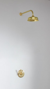 Скрытая душевая кабина Bill - Тип A - розетка 8 дюймов Bill & Ben The water monopoly