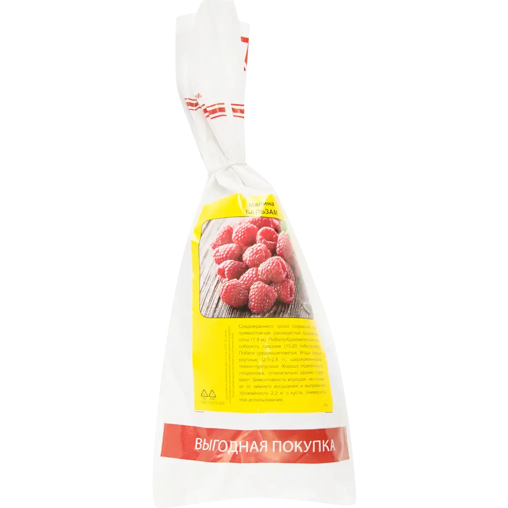 Малина Бальзам h40 см 83791450 STLM-2078316 Santreyd 