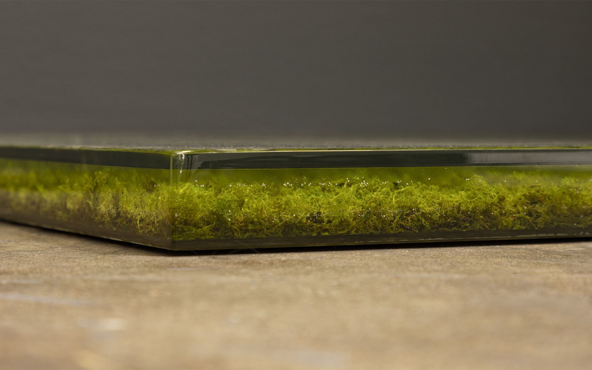 Поддон для душа из натурального мха с покрытием из смолы Gaia Mobili Contemporary ARCH-00069146 - Вид №1