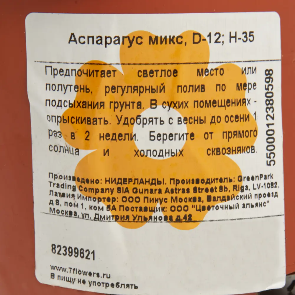 Аспарагус микс ø12 h35 см Цветочный альянс 82399621 STLM-2160678 Santreyd  - Вид №2
