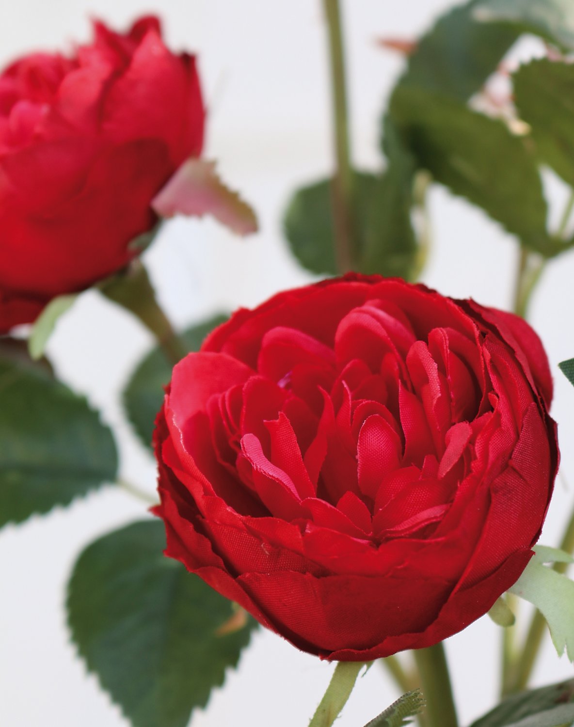 2591 444 a3 Искусственная роза, 4 цветка, 1 бутон, 57 см, красная H-andreas  - Вид №2