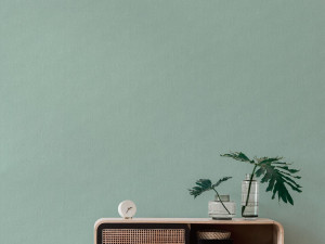 Нетканые однотонные обои