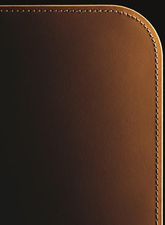 DE PADOVA Кожаный диван Erei sun-id-1372505 - Вид №1