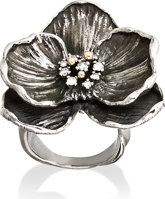 10592430 Кольцо для cалфетки Серебряное Michael Aram 