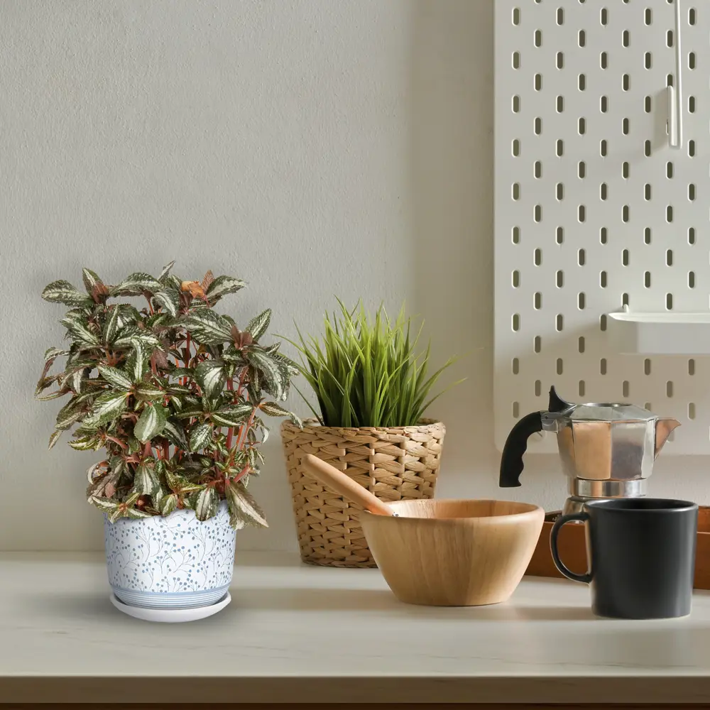 Santreyd Горшок «Лён» — керамический кашпо для комнатных растений 82836510 Лен STLM-0036713 - Вид №3