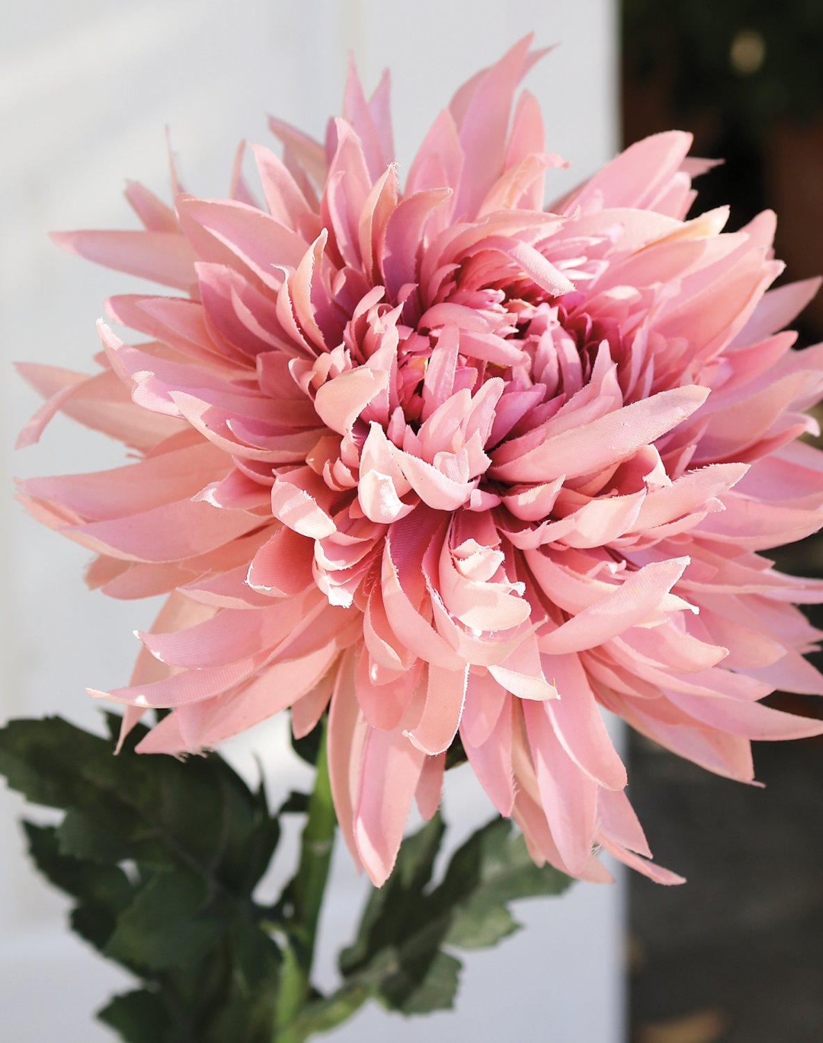 3411 597 a3 Хризантема пластиковая, 62 см, антично-розовая H-andreas  - Вид №1