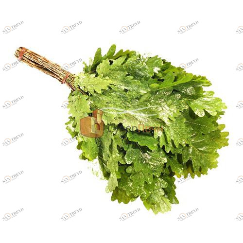 Дубовый веник для бани Santreyd 2761