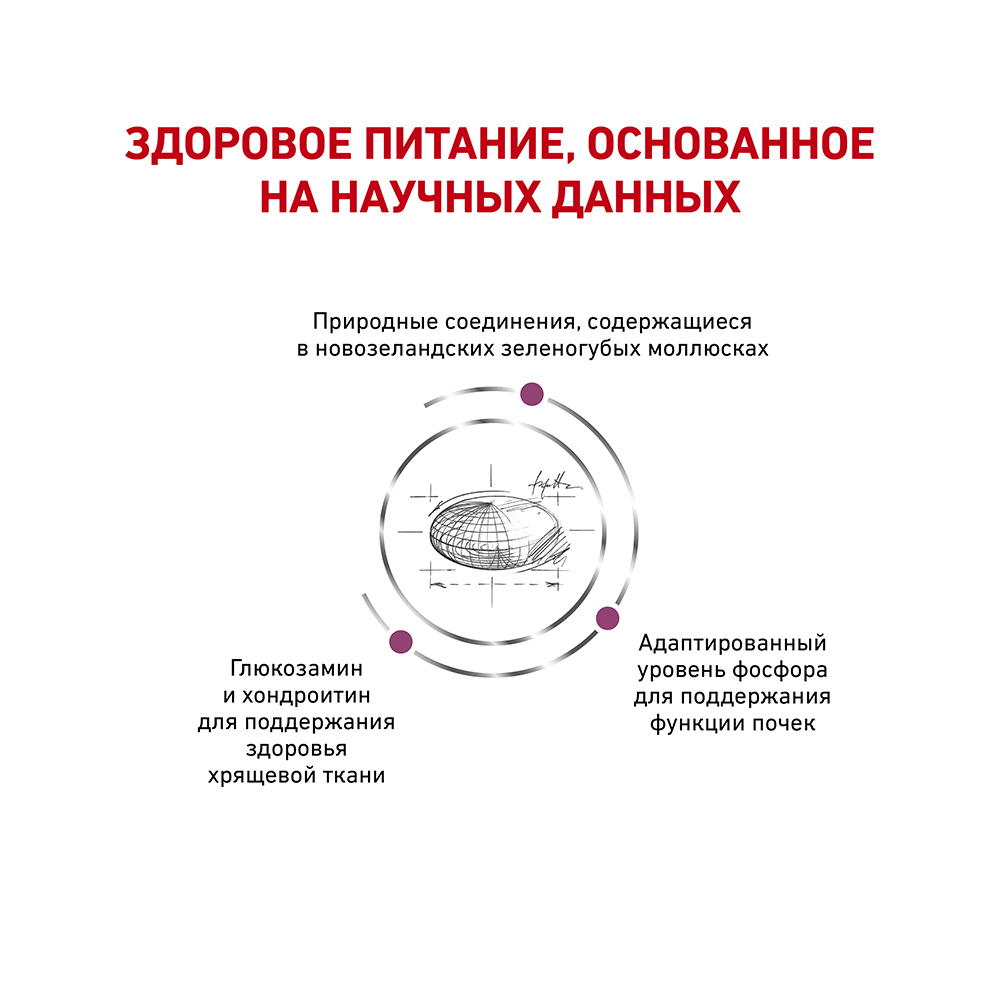 ПР0056392 Корм для кошек Vet Diet Mobility при заболеваниях опорно-двигательн.аппарата сух. 400г ROYAL CANIN  - Вид №3