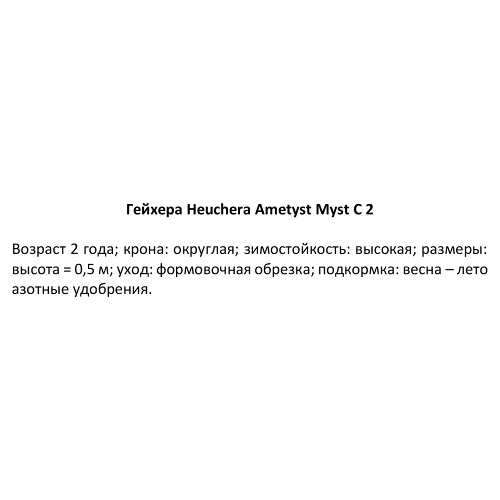 Гейхера Аметист Мист ø15 h40 см 84832041 STLM-2135916 PLANTMARKET  - Вид №1