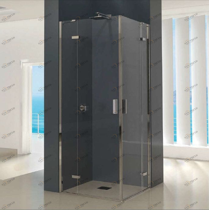 Art.15А Serie 1000 Душевая дверь Box Docce 2B Box Docce 2.B 38679