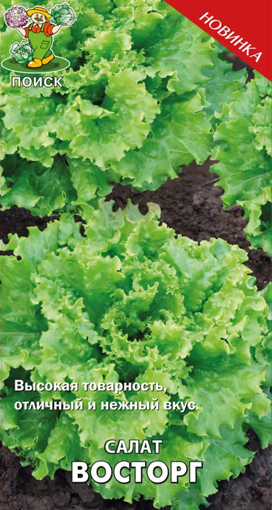 Семена салата «Восторг» от ПОИСК - листовой среднеспелый сорт 82102318