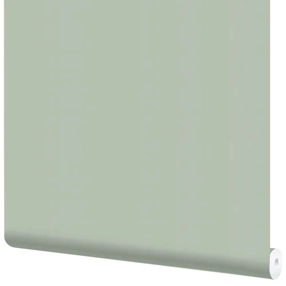Обои флизелиновые Inspire Pablo зелёные 1.06 м Sage 5 89158091 STLM-2104035