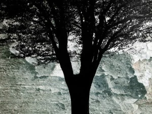 MOMENTI Художественная печать Crazy home paintings 061