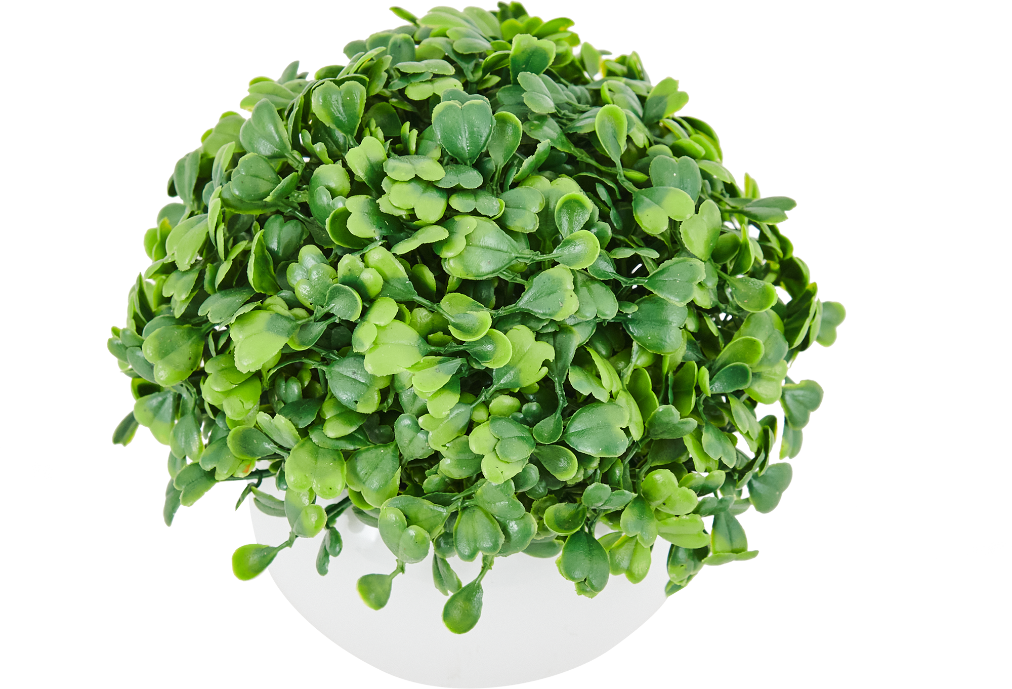 85826005 Искусственное растение Дисхидия h13 см STLM-0065527 Santreyd 