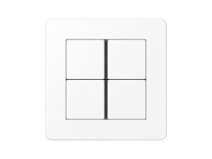 Матовый альпийский белый четырехъядерный переключатель F40