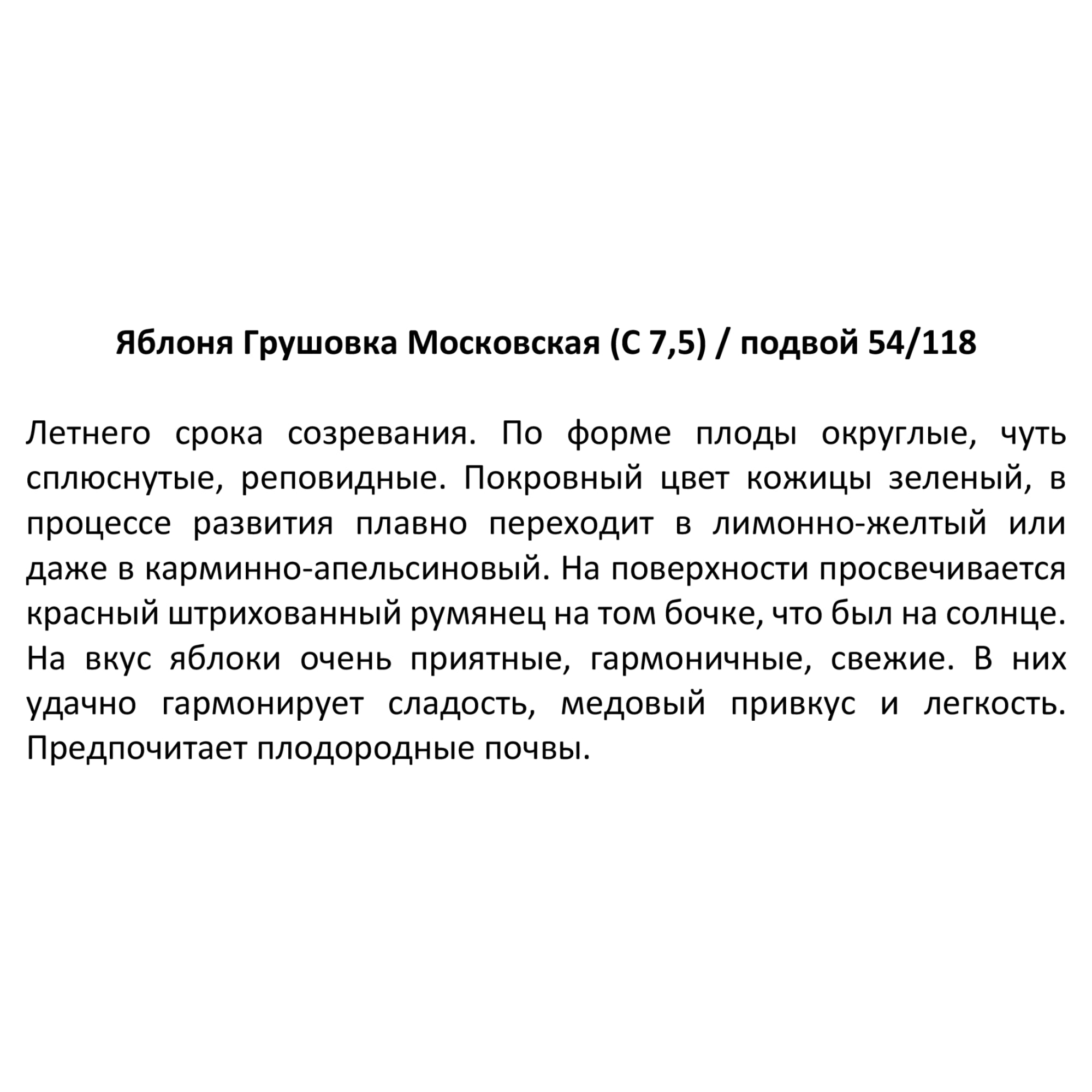 82585453 Яблоня «Грушовка Московская» 25x120 см Santreyd  - Вид №1