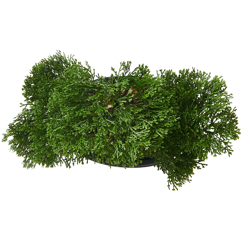 Искусственное растение Бонсай в керамическом горшке 32х23х16 см зелено-черный Atmosphera STLM-2116558 - Вид №1