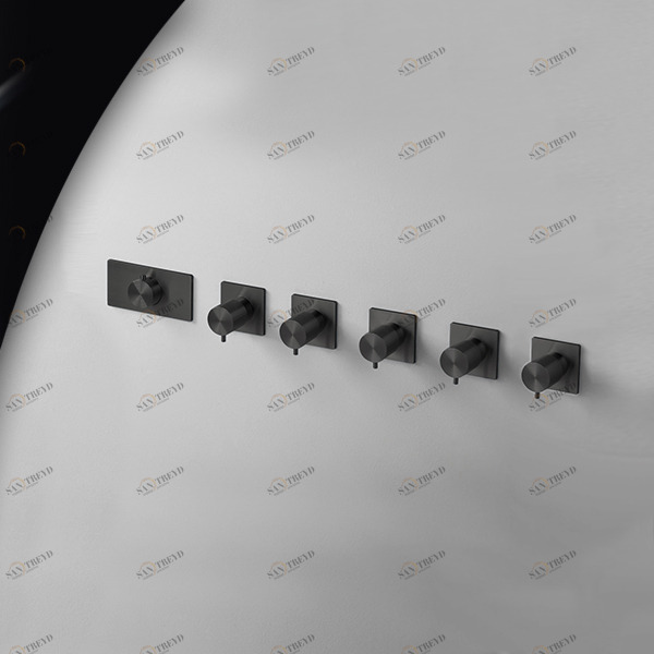 Термостат для душа AICO TER58C карбон Radomonte TER58С