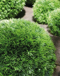 4587 883 a3 Пластиковый мяч для травы, синтетический материал, Ø 46 см, зеленый H-andreas