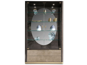 Витрина из дерева и стекла со встроенным освещением и кожаными вставками