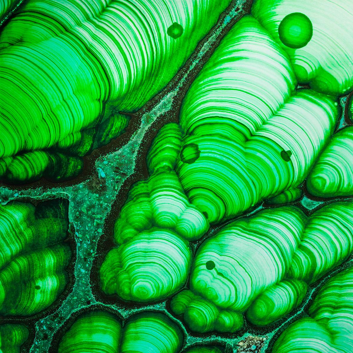 SICIS Rigato Green Cro Spathula sun-id-1991072 - Вид №1