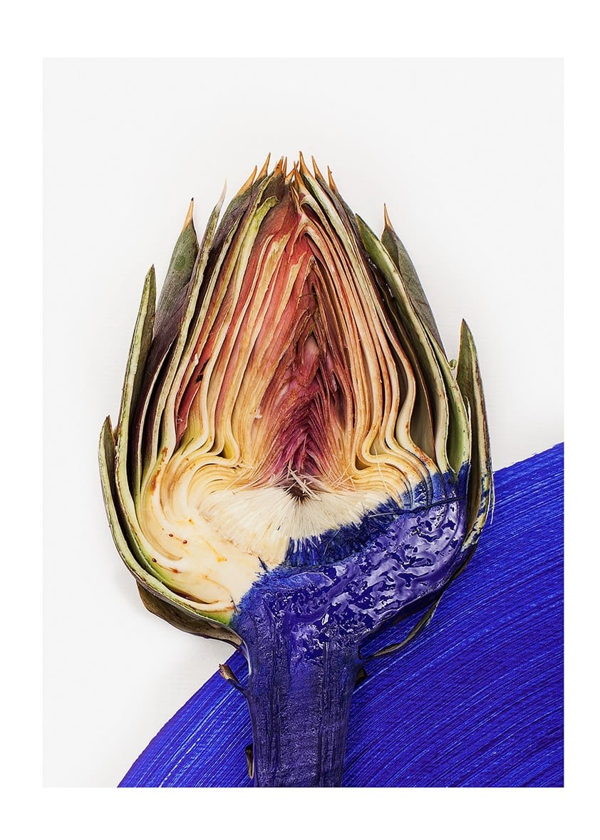 Фарфоровая десертная тарелка Non Sans Raison Végétal ARCH-00006264 - Вид №1