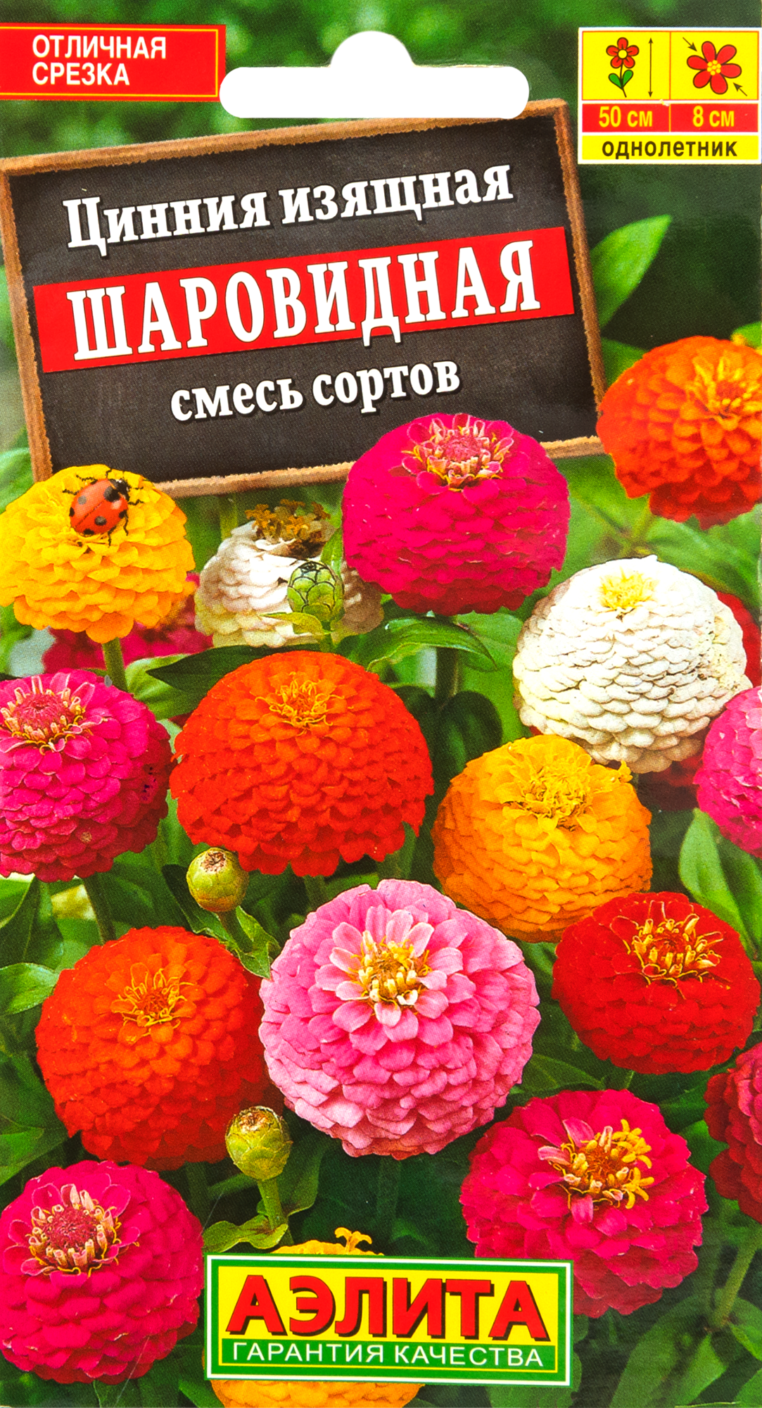 Цинния Шаровидная Santreyd - яркая смесь сортов для сада 83495466 STLM-0041409