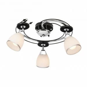 Спот потолочный белый Silver Light Austerity 223.59.3 SILVER LIGHT AUSTERITY 00-3924069 Белый