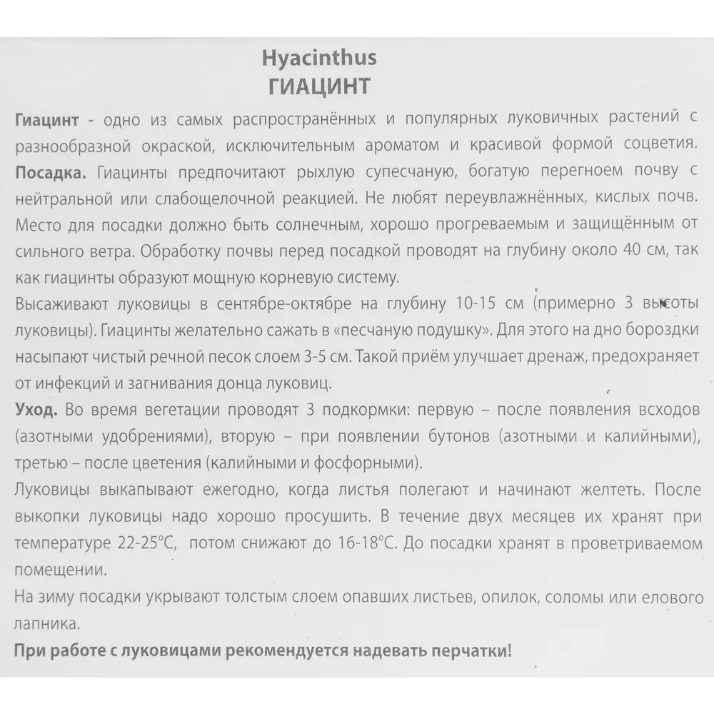 Гиацинт садовый Чикаго, 3 шт 85204901 STLM-2045091 ПОИСК  - Вид №2