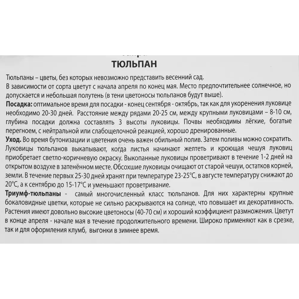 Тюльпан Триумф Роналдо, 3 шт 85205528 STLM-2190651 ПОИСК  - Вид №5