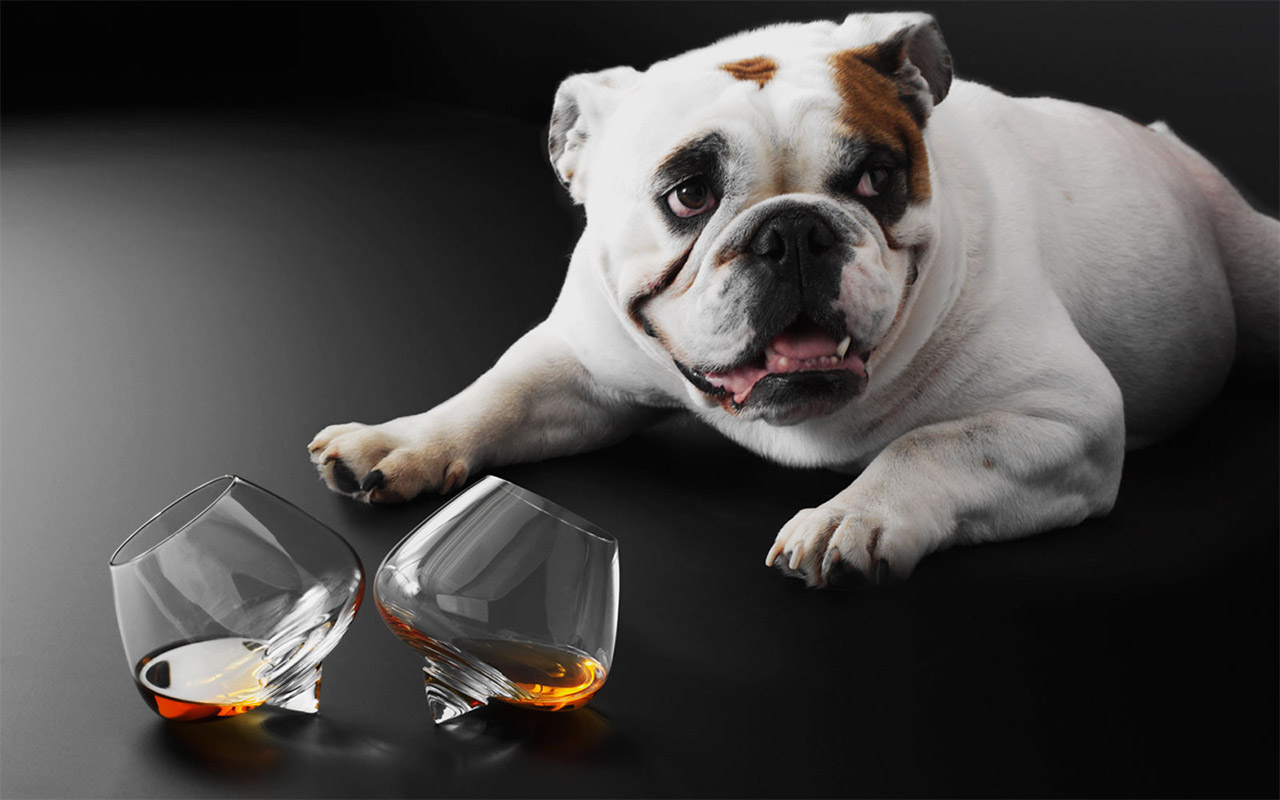 Бокалы Liqueur Glasses 2 шт Normann Copenhagen 120950 - Вид №6