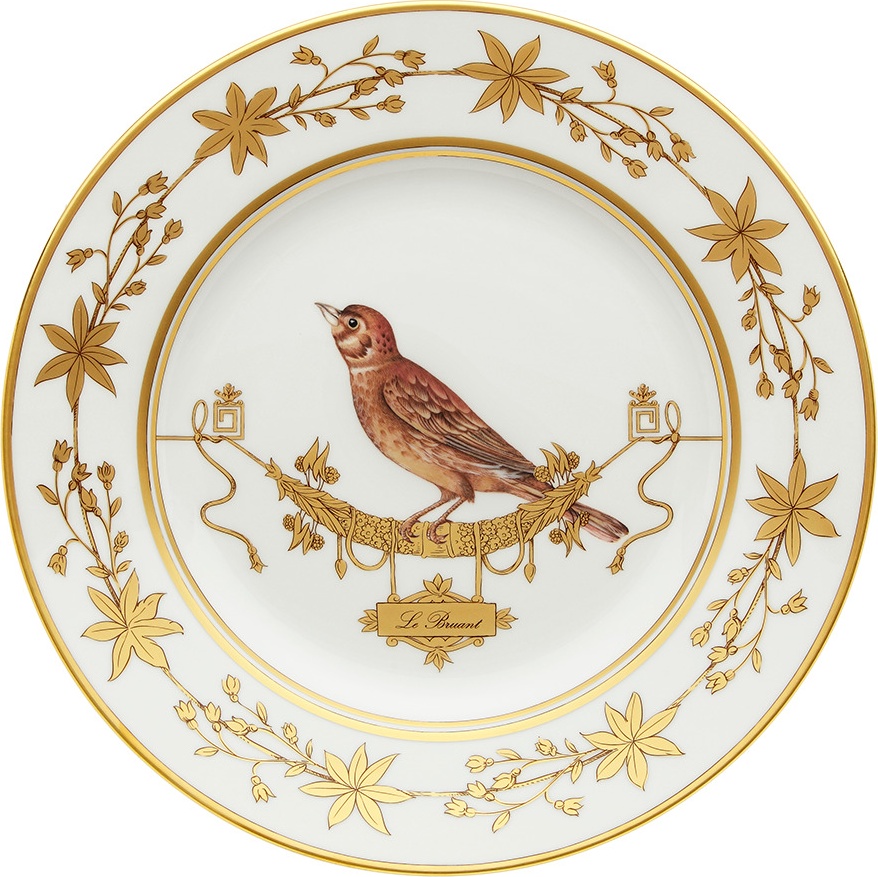 10647815 Richard Ginori Тарелка обеденная 26.5 см Фарфор 