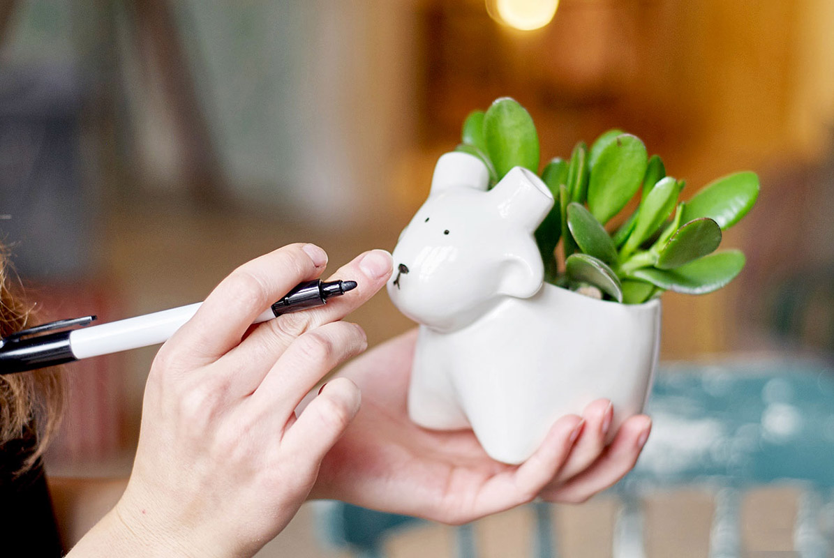 Набор для выращивания Eco Овечка ЭКОЧЕЛОВЕКИ 3003 - Вид №2