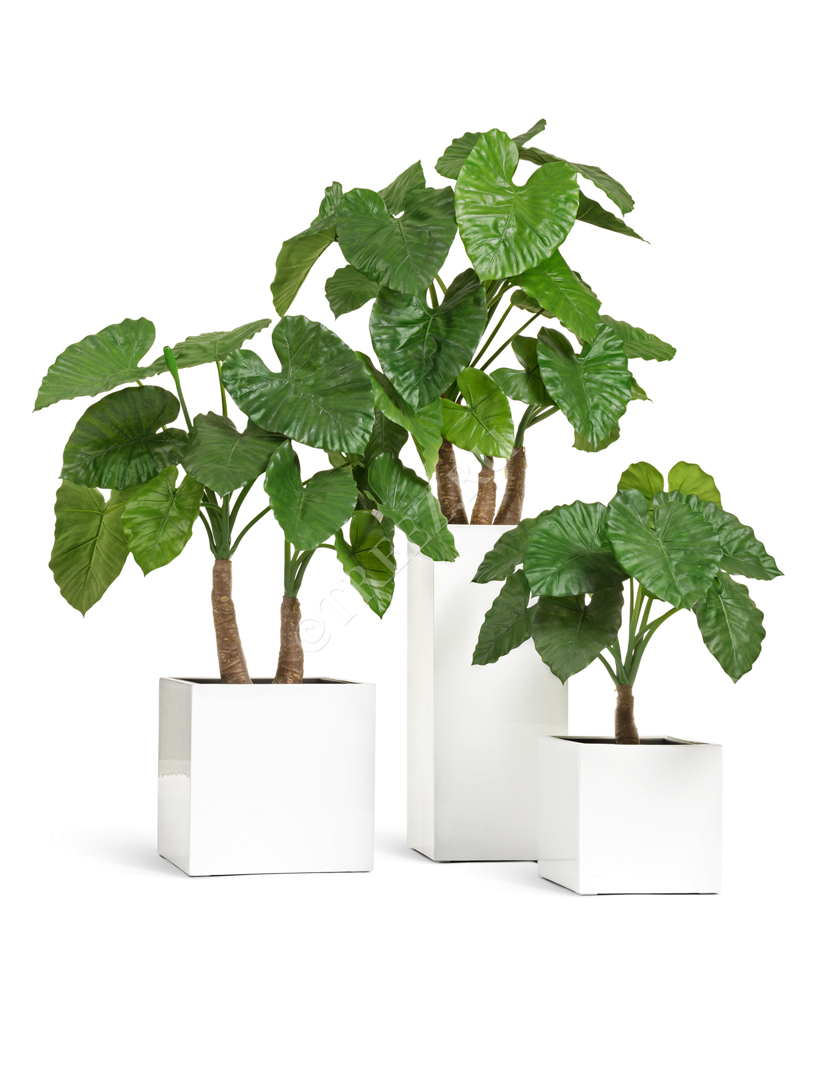 41.3320-05-033-WH-50 Кашпо  Effectory - серия Gloss - Куб - Белый глянцевый лак Цветочная коллекция  - Вид №6