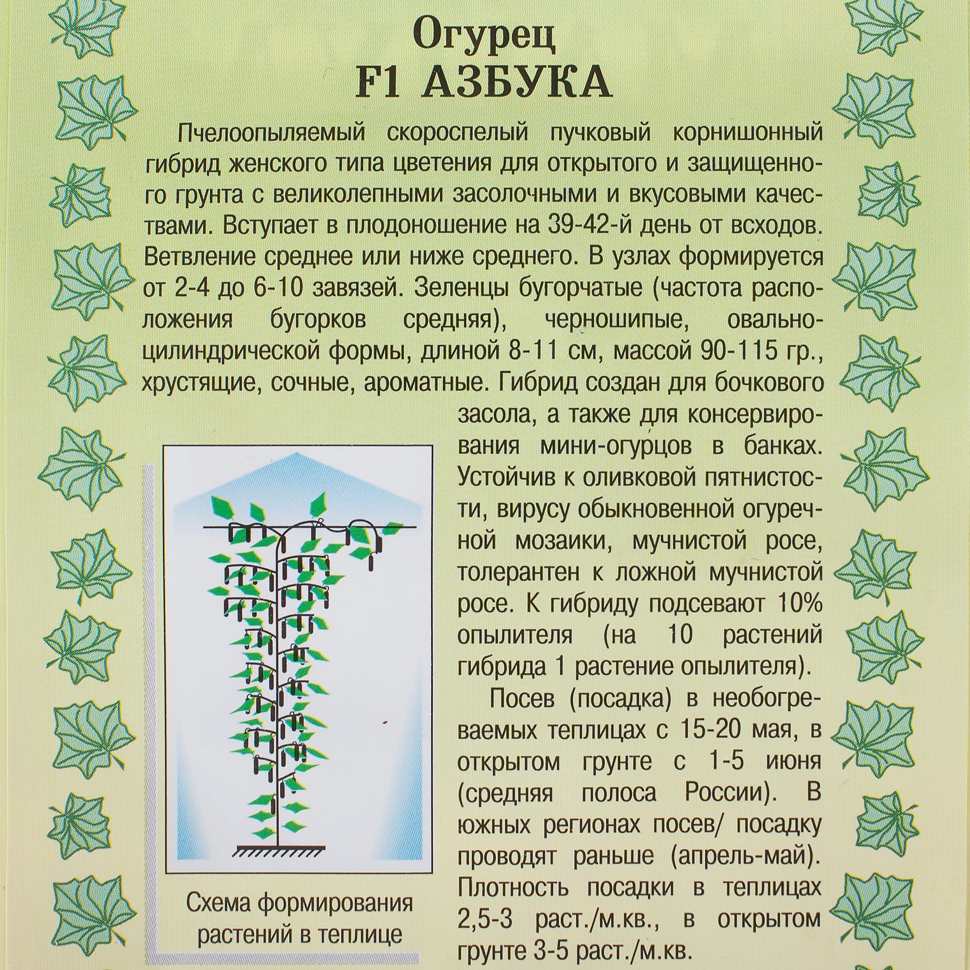 81932526 Семена Огурец «Азбука» F1 Santreyd  - Вид №2