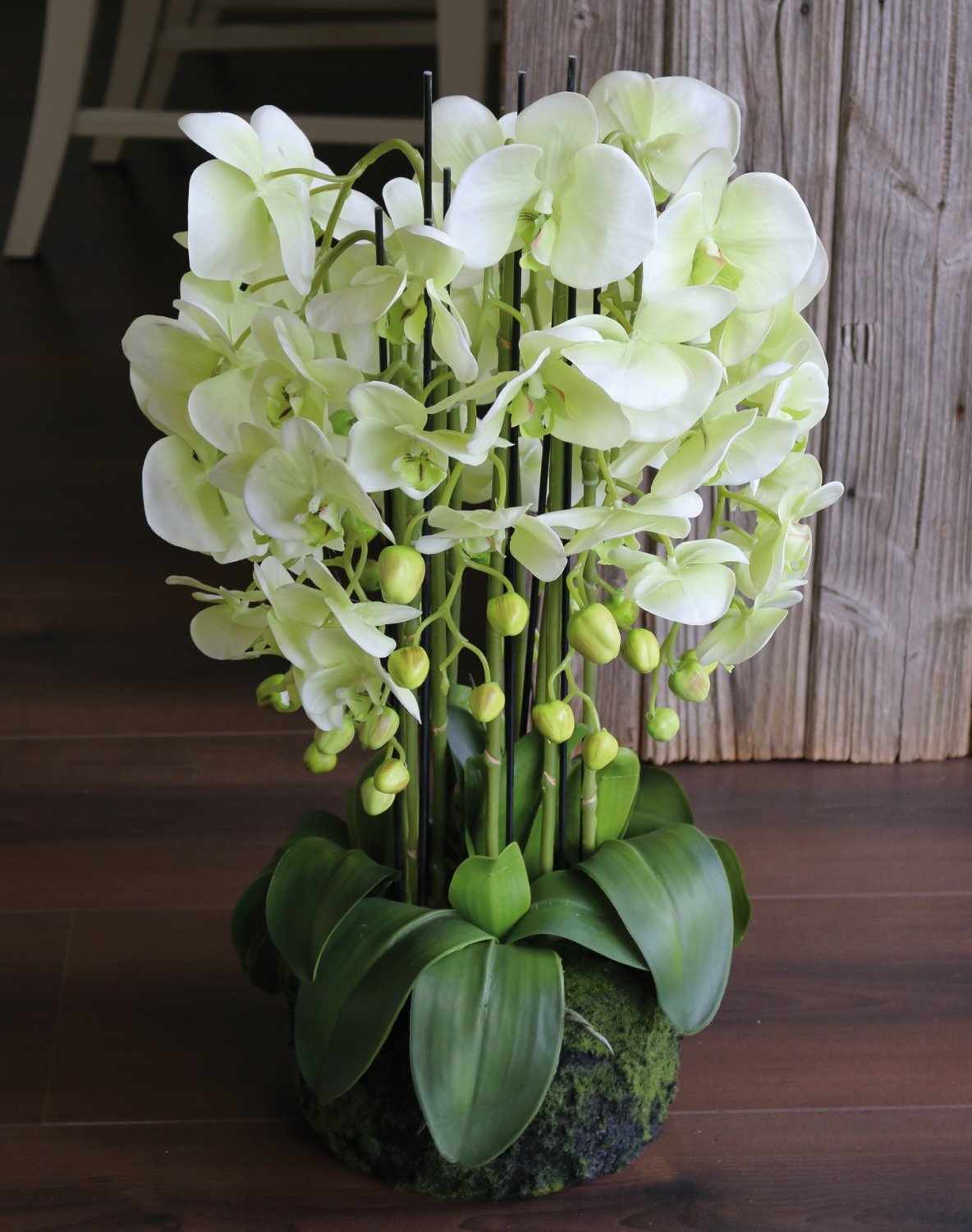2861 788 a3 Пластиковая орхидея Phalaenopsis с 'почвой', 9-кратная, 70 см, real touch, бежево-зеленая H-andreas  - Вид №1