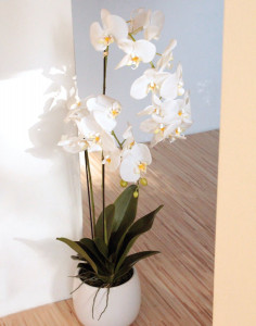 2604 778 a3 Искусственная орхидея Phalaenopsis, 2-х кратная, в керамическом горшке, 100 см, real touch, бежево-белая H-andreas