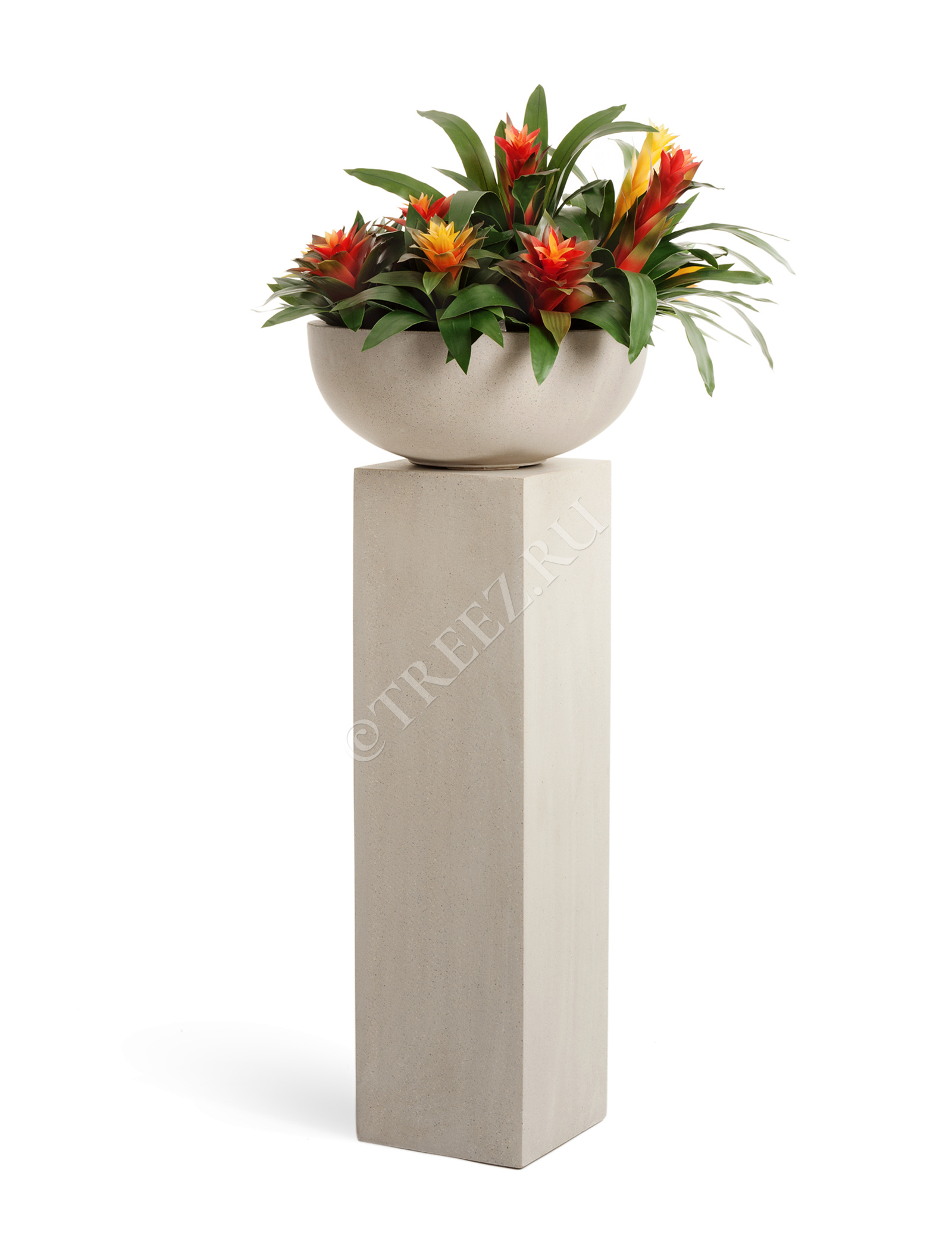 41.3317-02-006-BE-74 Кашпо  Effectory - серия Beton - Низкая чаша - Белый песок Цветочная коллекция  - Вид №4