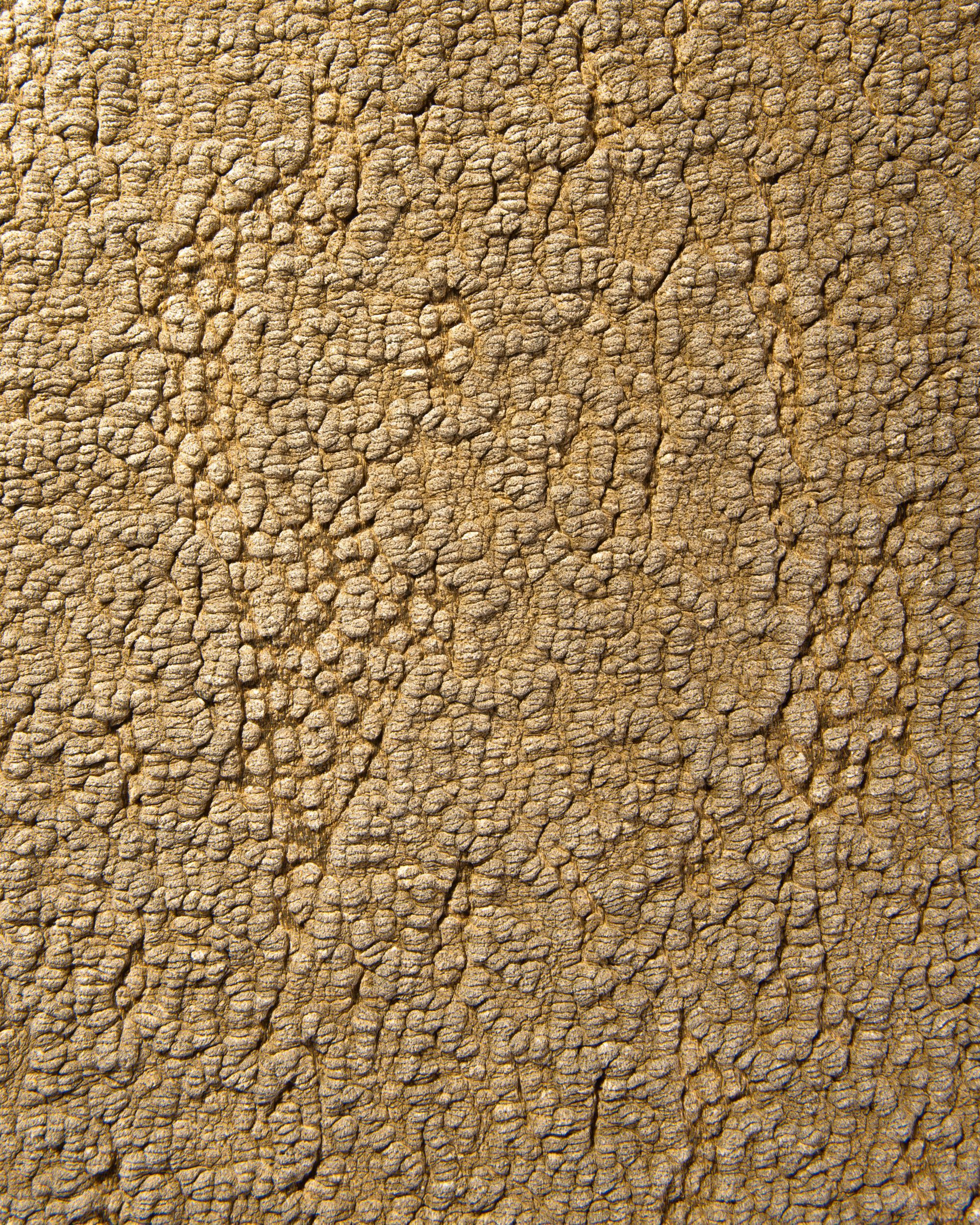 Полиэстер и хлопок ткань The House of Lyria MARUSCA ARCH-00107623 - Вид №1